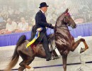 2019 hs brilliant heiress jim stachowski