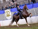 2021 royal hs brilliant heiress and lori