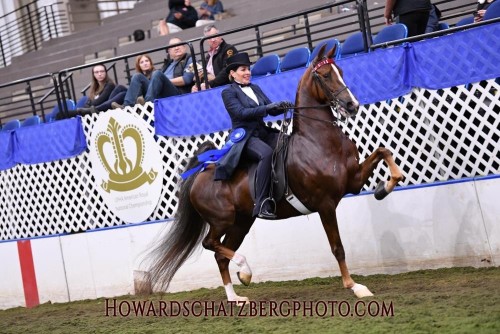 2021 royal hs brilliant heiress and lori
