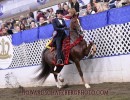 2021 royal hs brilliant heiress victory pass