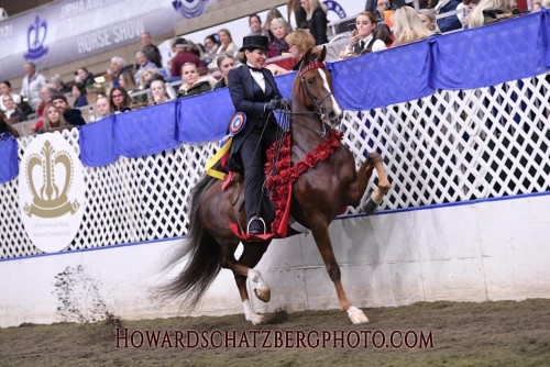 2021 royal hs brilliant heiress victory pass