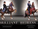 2022 hs brilliant heiress fcs ad