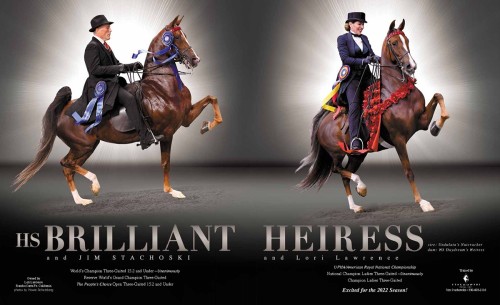 2022 hs brilliant heiress fcs ad