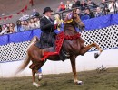 2021 knocking on heavens door american royal jim stachowski