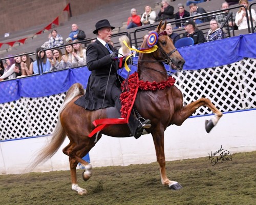 2021 knocking on heavens door american royal jim stachowski