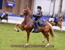 2021 royal hs knocking on heavens door lori