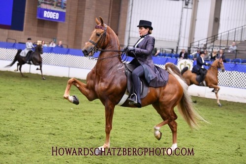 2021 royal hs knocking on heavens door lori