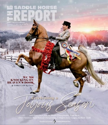 2022 hs knocking on heavens door dec saddlehorse report