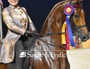 2022 hs knocking on heavens door saddlehorse report candid