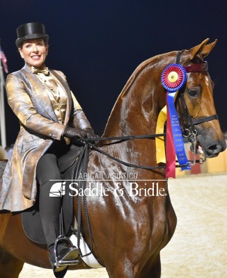 2022 hs knocking on heavens door saddlehorse report candid
