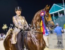 2022 hs knocking on heavens door saddlehorse report candid2