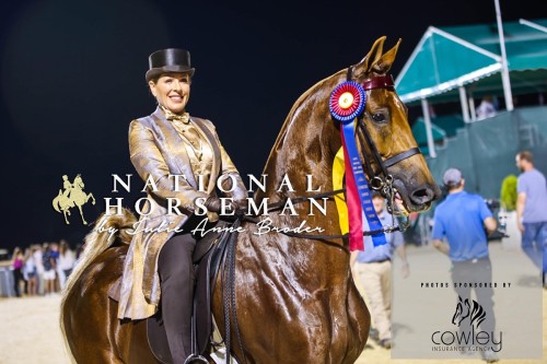 2022 hs knocking on heavens door saddlehorse report candid2
