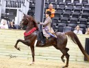 2022 jimeny cricket lori buckeye